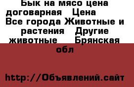 Бык на мясо цена договарная › Цена ­ 300 - Все города Животные и растения » Другие животные   . Брянская обл.